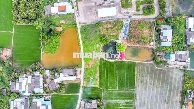 Bán gấp lô đất trung tâm thị trấn Bến Lức Long An giá siêu tốt
