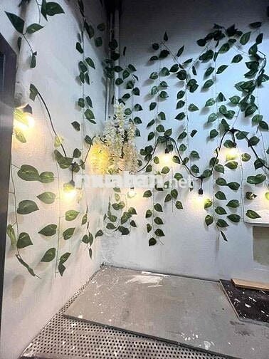 Bán CCMN Mặt Phố Đối Diện Royal City - Full Nội Thất Xịn Decor