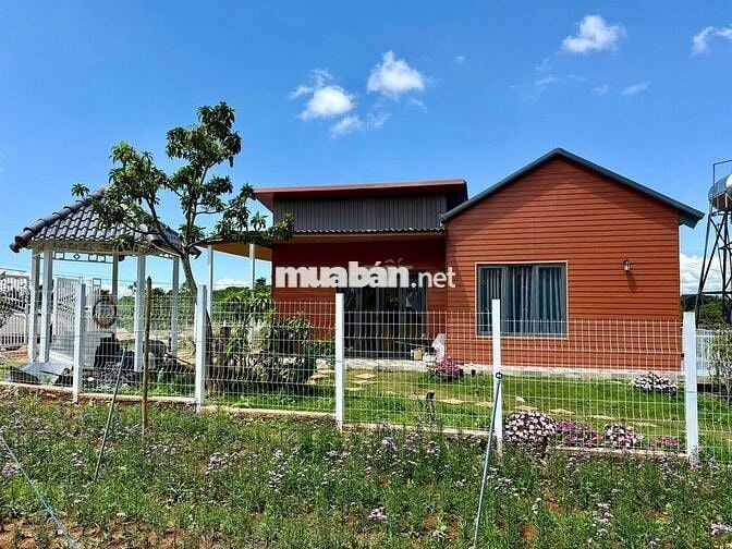 Bán lô đất nghỉ dưỡng view tượng phật gần khu Thác 7 Tầng