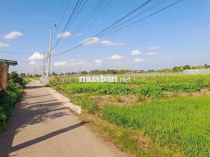 Hàng Vip, 1640m2 đất 2 mặt tiền ngay Quốc Lộ 50B, chỉ 900tr