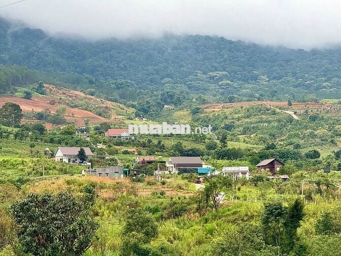 Bán lô đất nghỉ dưỡng view tượng phật gần khu Thác 7 Tầng