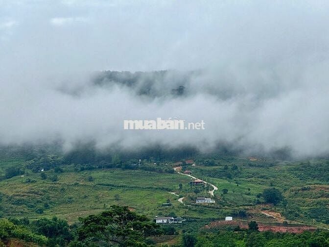 Bán lô đất nghỉ dưỡng view tượng phật gần khu Thác 7 Tầng