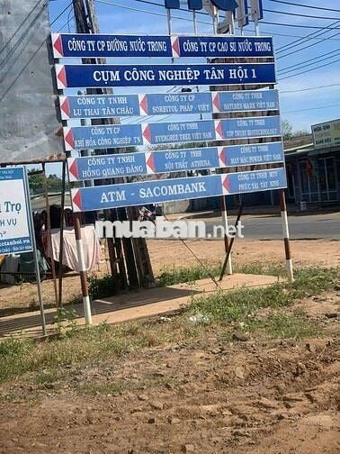 Cần bán gấp lô đất trồng cây đường ĐT 833 ở Tây Ninh ở Xã Tân Hội