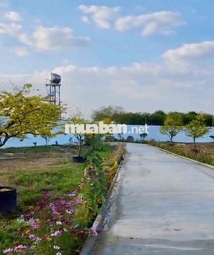 bán gấp 7200m2 2 mặt tiền ,tc1200, thích hợp làm kho xưởng , nhà vườn
