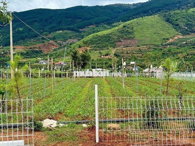 Bán lô đất nghỉ dưỡng view tượng phật gần khu Thác 7 Tầng