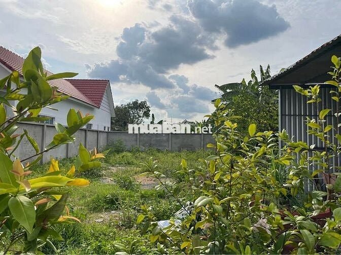 Lô đất ngộp 302m2 ngay trung tâm Gò Dầu 890 triệu thương lượng