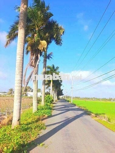 Hàng Vip, 1640m2 đất 2 mặt tiền ngay Quốc Lộ 50B, chỉ 900tr