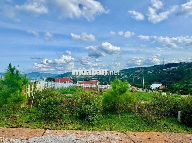 Đất nghỉ dưỡng ven Đà Lạt cách sân bay Liên Khương 20km