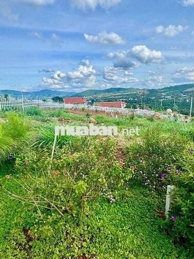 Đất nghỉ dưỡng ven Đà Lạt cách sân bay Liên Khương 20km