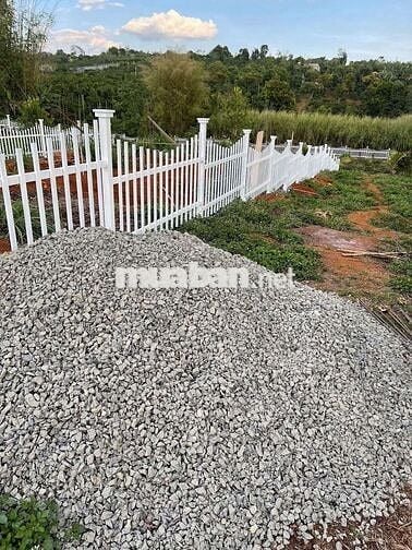CHỦ CẦN BÁN NHANH LÔ ĐẤT TẠI LÂM HÀ GIÁ CHỈ 550TR CÓ SẴN THỔ