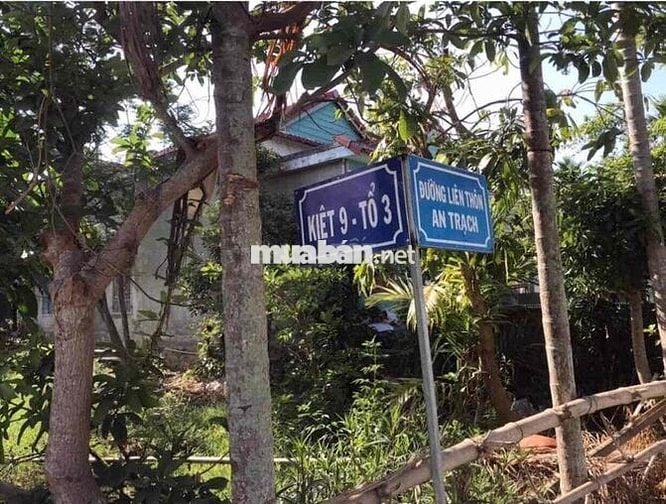TÔI CHÍNH CHỦ CẦN BÁN GẤP LÔ THÔN AN TRẠCH - view Sông