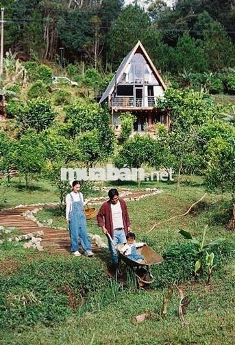 lô đất mặt tiền đường liên xã 40m tới , đường 8m