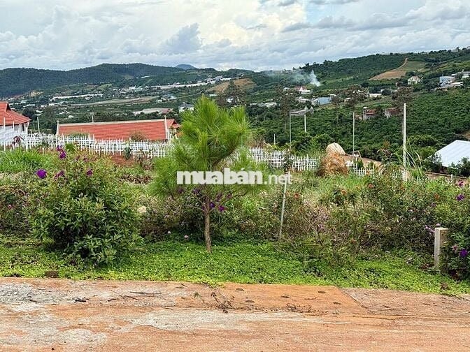 Đất nghỉ dưỡng ven Đà Lạt cách sân bay Liên Khương 20km