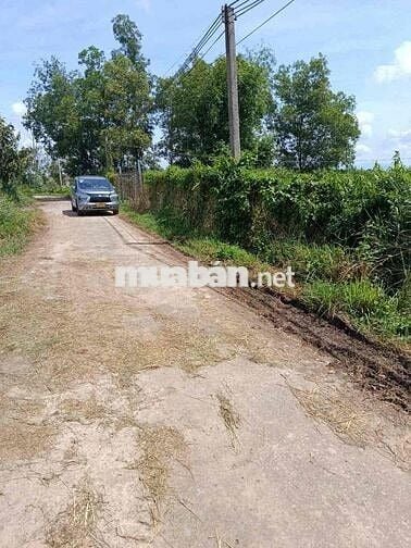 Cần ra đi gấp "Đất trồng cây công nghiệp" ở Xuân Lộc, Đồng Nai