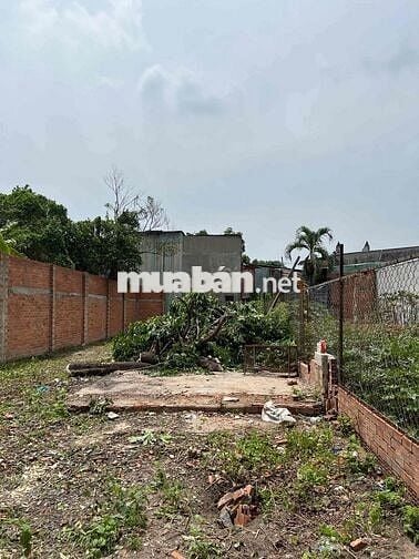 Đất ở thổ cư xây nhà vườn hay làm kho xưởng