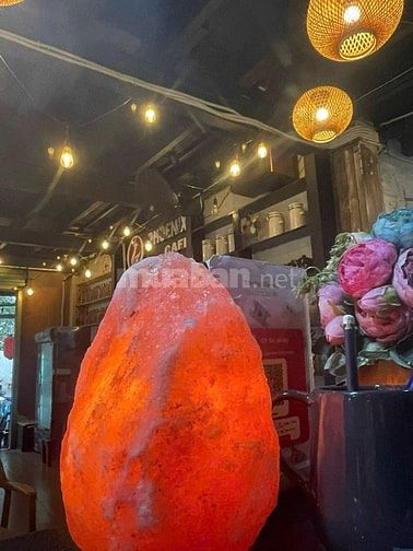 THÀNH CÔNG CAFE TUYỂN DỤNG NHÂN VIÊN PHỤC VỤ - LƯƠNG THƯỞNG HẤP DẪN