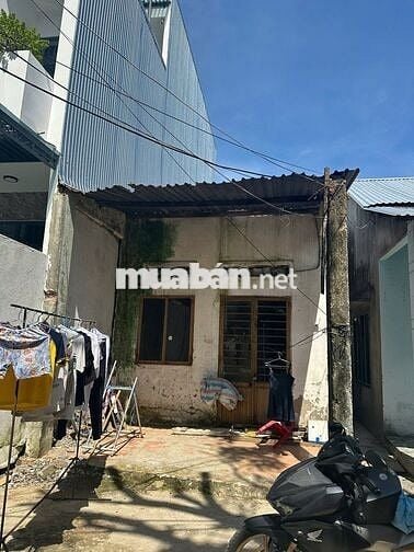 🔥 BÁN ĐẤT KIỆT NGUYỄN NHƯ HẠNH – GIÁ MỀM NHẤT KHU VỰC 🔥