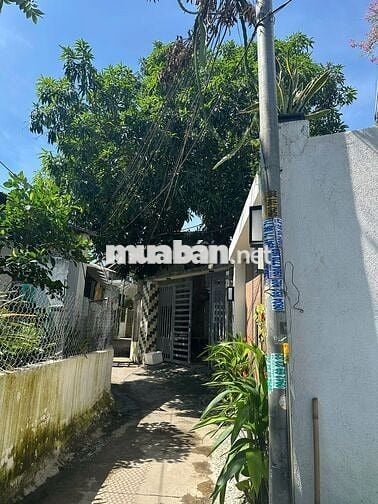 Đất kiệt Nguyễn Như Hạnh, vuông vức đẹp, giá mềm nhất khu vực