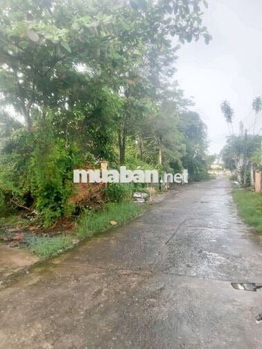 ĐẤT ĐẸP MẶT TIỀN MAI XUÂN THƯỞNG- TÂN AN