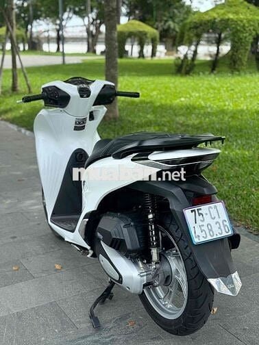 Xe SH125i 2024