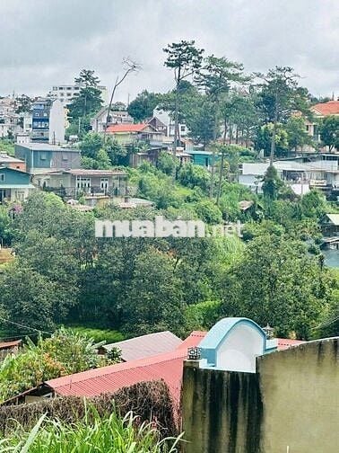 💥 Bán gấp đất mặt tiền Tô Hiến Thành, P3 Đà Lạt – sổ sẵn, giá tốt!