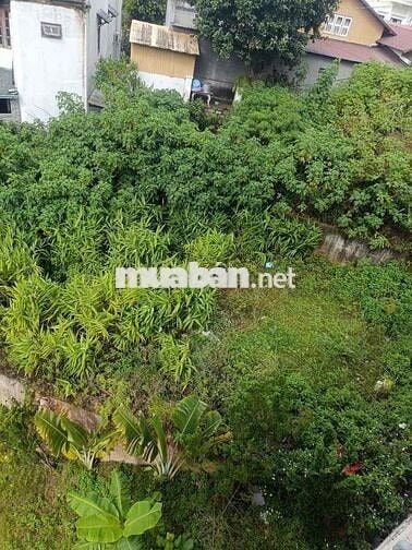 Bán đất view thông đường hoàng hoa thám