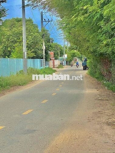 đất nền thổ cư sổ riêng gần chợ bàu cối