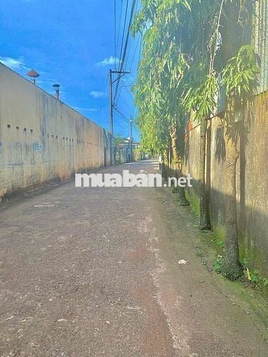 đất nền thổ cư sổ riêng gần chợ bàu cối