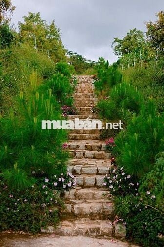 Thổn thức với chiếc view này quá đi ạ Nhà vườn Trị An chỉ 850tr/1000m2