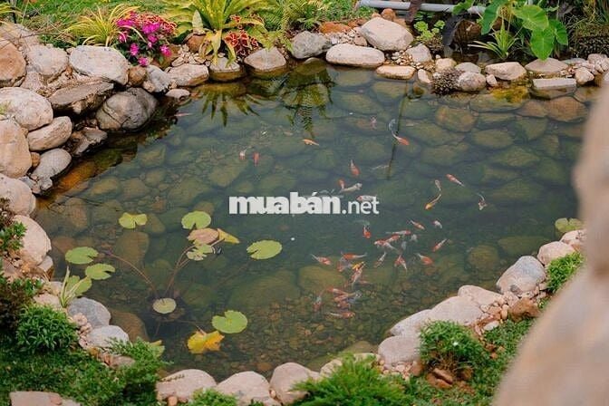 Thổn thức với chiếc view này quá đi ạ Nhà vườn Trị An chỉ 850tr/1000m2