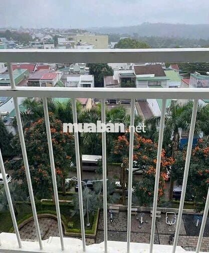 CẦN TÌM 1 BẠN NỮ Ở CÙNG CĂN HỘ HOÀNG ANH GIA LAI