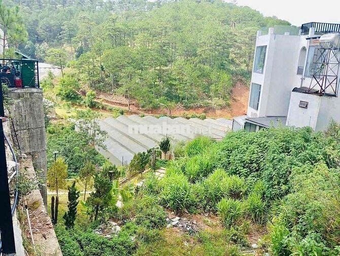 Bán đất view thông đường hoàng hoa thám