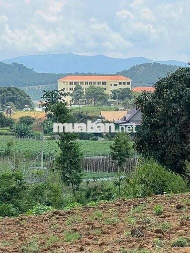 Ngộp bank chủ cần bán đất đẹp tại Trạm Hành view thung lũng Đơn Dương