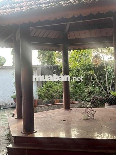 Cho thuê nhà nguyên căn mặt tiền đường Nguyễn Văn Cừ - Buôn Ma Thuột