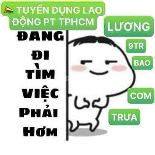 Cần gấp 4 LĐPT phỏng vấn đi làm ngay 