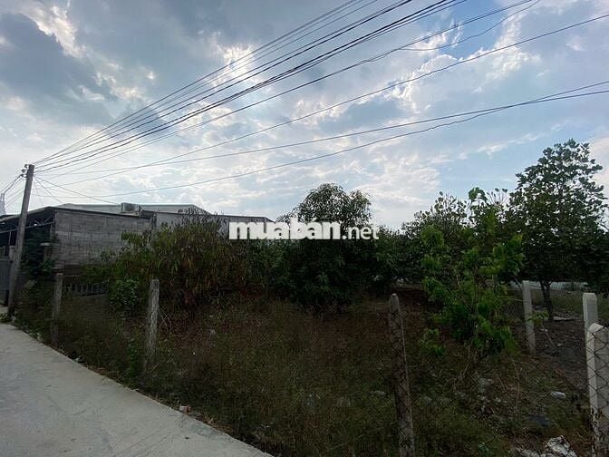 Đất KCN Phước Đông 12x20 thổ cư phù hợp đầu tư phòng trọ tạo dòng tiền