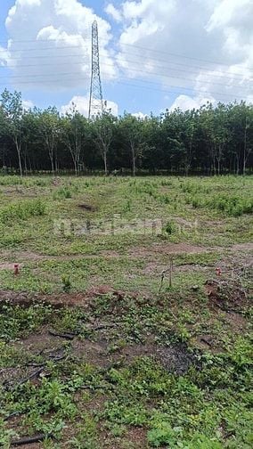 Chính chủ cần bán đất mặt tiền DT757 nhựa