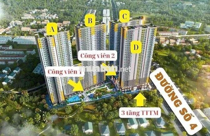 BCONS SOLARY - 20CĂN GIỎ HÀNG NỘI BỘ GIÁ ƯU ĐÃI TỪ CHỦ ĐẦU TƯ BCONS