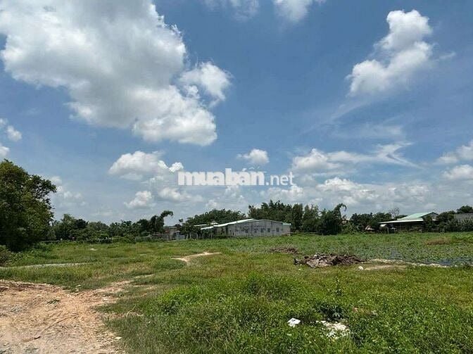 1.8HA - NGAY KCN THÀNH CÔNG - GIÁ RẺ !
