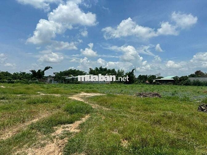 1.8HA - NGAY KCN THÀNH CÔNG - GIÁ RẺ !