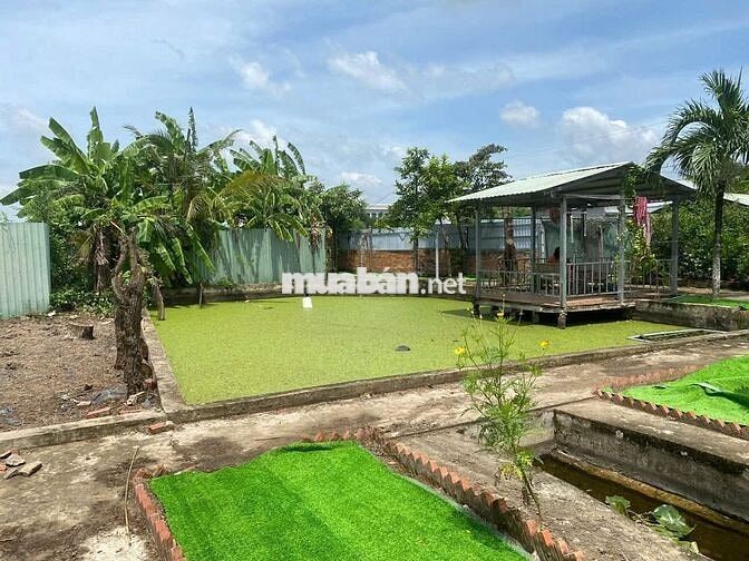 2135M² ĐẤT CÓ NHÀ SẴN - CÂY TRƯỜNG II, BÀU BÀNG CHỈ 900TR