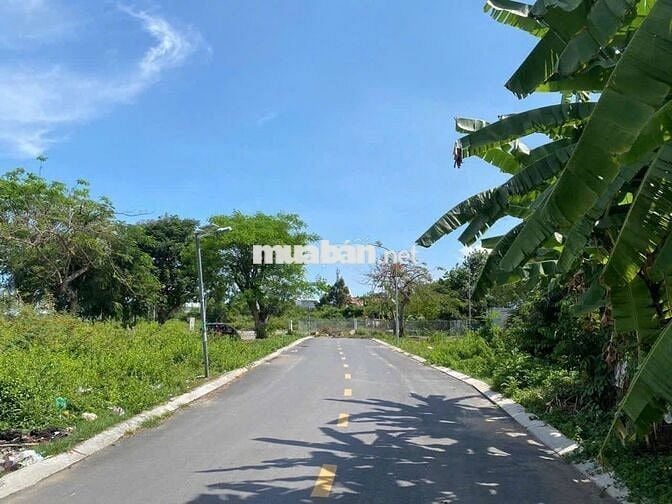 2135M² ĐẤT CÓ NHÀ SẴN - CÂY TRƯỜNG II, BÀU BÀNG CHỈ 900TR