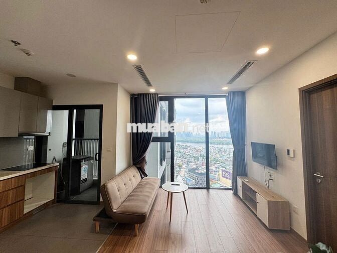 Cho thuê căn hộ chung cư Eco Green Q7 DT 52m2 , 2 PN, 1wc, Giá 16tr/th