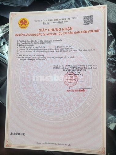Cần bán Đất An Thạnh, Thuận An Diện tích : 196,5m2