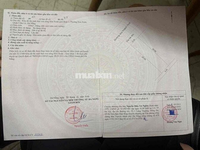 Nắm Chính chủ đường Thông Nguyễn Hiến Lê