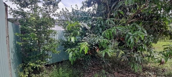 BÁN ĐẤT QH DÂN CƯ, CHUẨN BỊ LÊN THỔ CƯ DT THỰC TẾ HƠN 900M2