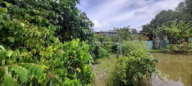 BÁN ĐẤT QH DÂN CƯ, CHUẨN BỊ LÊN THỔ CƯ DT THỰC TẾ HƠN 900M2