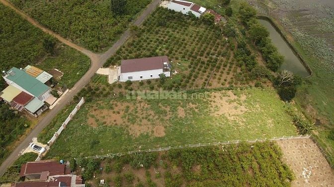 🌿 BÁN ĐẤT BIỆT THỰ NGHỈ DƯỠNG VIEW HỒ LỘC THANH – LỘC PHÁT, BẢO LỘC