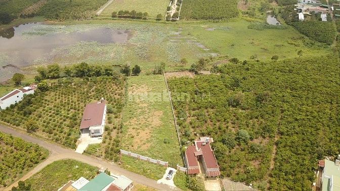 🌿 BÁN ĐẤT BIỆT THỰ NGHỈ DƯỠNG VIEW HỒ LỘC THANH – LỘC PHÁT, BẢO LỘC