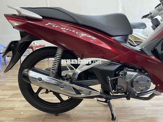 FUTURE _LED XE ZIN
